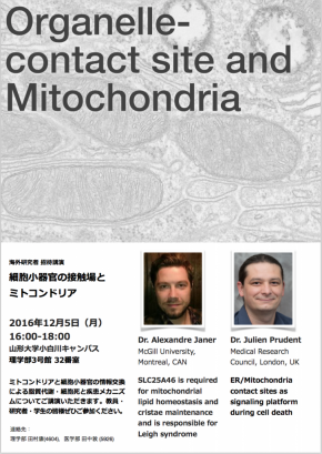 Screen Shot 2016-11-15 at 17.02.41